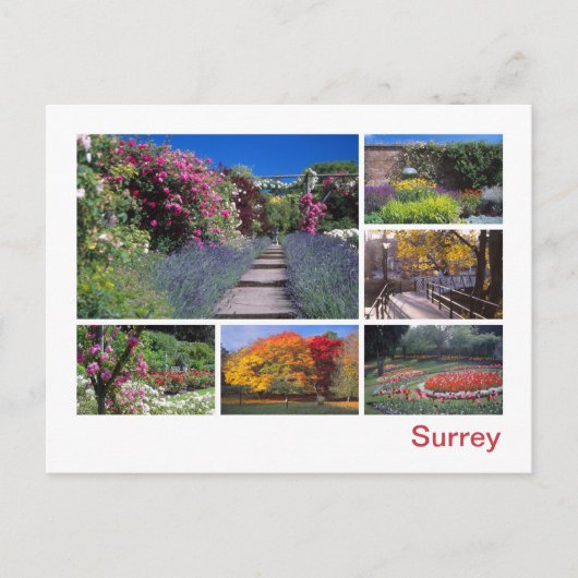Carte Postale Surrey (Devant)