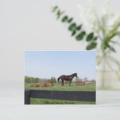 Carte Postale Surveillance (Debout devant)