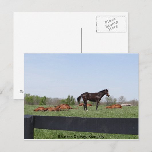 Carte Postale Surveillance (Devant / Derrière)