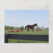 Carte Postale Surveillance (Devant)