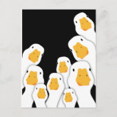 Carte Postale Surveillance inquiétante : les oies surveillent de (Devant)