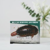 Carte Postale Survivre à n'importe quoi, Cockroach avec poche d' (Debout devant)