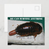Carte Postale Survivre à n'importe quoi, Cockroach avec poche d' (Devant / Derrière)