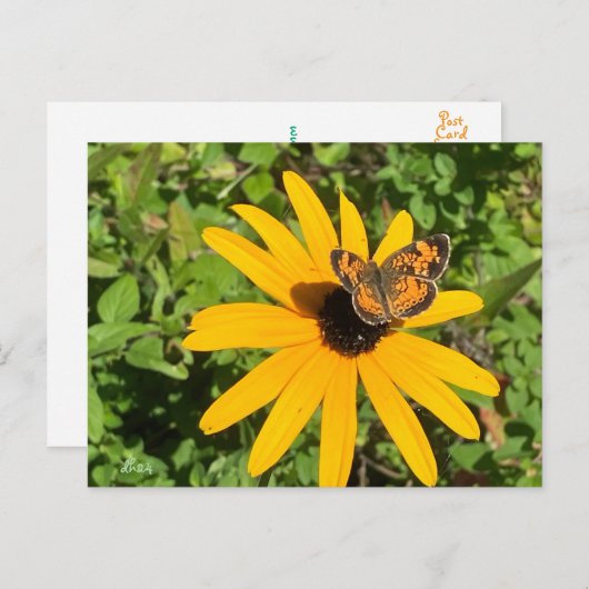 Carte Postale Susan aux yeux foncés avec papillon crescent perlé (Devant / Derrière)