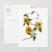 Carte Postale Susan aux yeux noirs (Devant / Derrière)