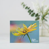 Carte Postale Susan aux yeux noirs (Debout devant)