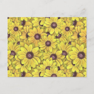 Carte Postale Susans à oeil noir partout