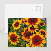 Carte Postale Susans aux yeux noirs (Devant / Derrière)