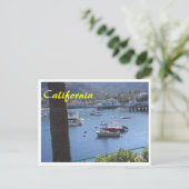 Carte postale Sushi California (Debout devant)