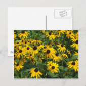 Carte Postale Sushis oculaires noirs (Devant / Derrière)