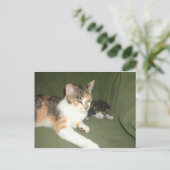 Carte Postale Suspendu (Debout devant)