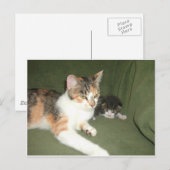 Carte Postale Suspendu (Devant / Derrière)