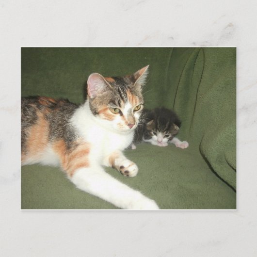 Carte Postale Suspendu (Devant)