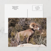 Carte Postale Suspension momentanée (Devant / Derrière)