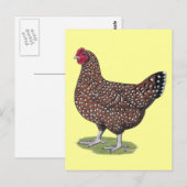 Carte Postale Sussex : Hen Speckled (Devant / Derrière)