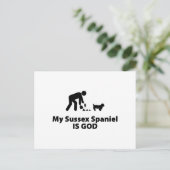 Carte Postale Sussex Spaniel (Debout devant)