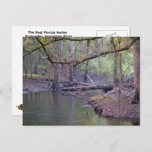 Carte Postale Suwannee River (Devant / Derrière)