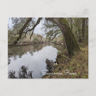 Carte postale Suwannee River