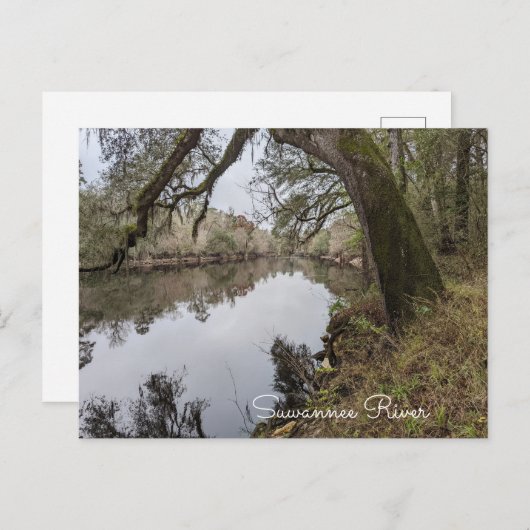 Carte postale Suwannee River (Devant / Derrière)