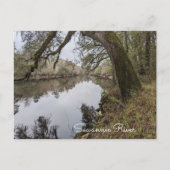 Carte postale Suwannee River (Devant)