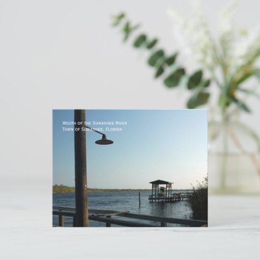 Carte postale Suwannee River Dock (Debout devant)