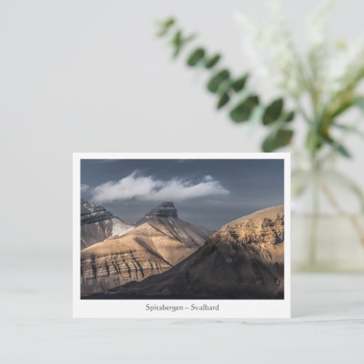 Carte Postale Svalbard (Debout devant)