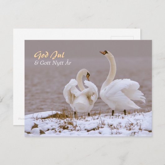 Carte Postale Svanpar i nysnö CC0804 Julhälsning (Devant / Derrière)