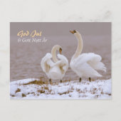 Carte Postale Svanpar i nysnö CC0804 Julhälsning (Devant)