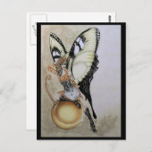 Carte Postale Swallowtail Bellepunk Sud (Devant / Derrière)