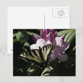 Carte postale Swallowtail & Rhododendron (Devant / Derrière)