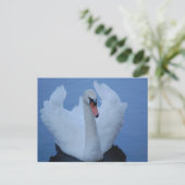 Carte postale Swan (Debout devant)