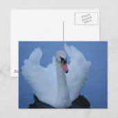 Carte postale Swan (Devant / Derrière)