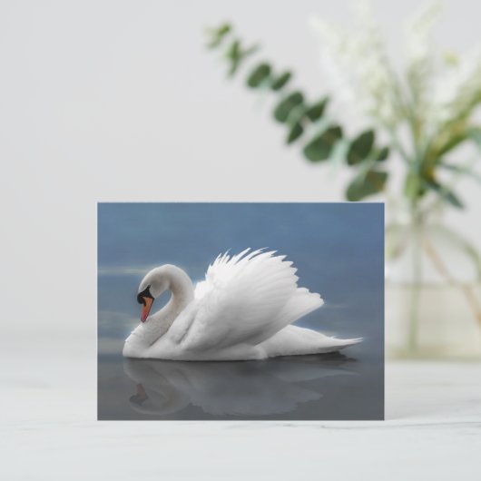 Carte Postale Swan (Debout devant)