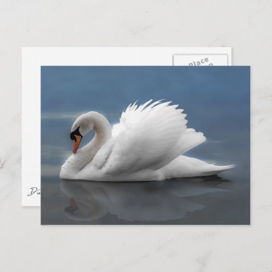 Carte Postale Swan (Devant / Derrière)