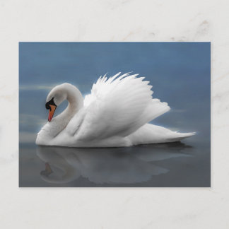 Carte Postale Swan