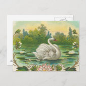 Carte Postale Swan (Devant / Derrière)