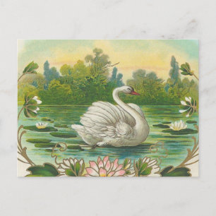 Carte Postale Swan