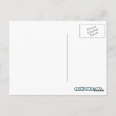 Carte Postale Swan (Dos)