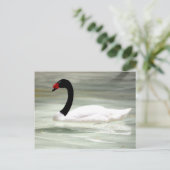 Carte postale Swan (Debout devant)