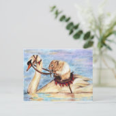 Carte postale Swan Back Riding (Hamster) (Debout devant)
