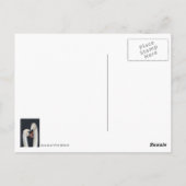 Carte postale Swan Couple (Dos)
