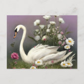Carte Postale Swan dans un jardin (Devant)