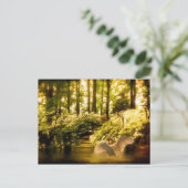 Carte postale Swan Dreamy (Debout devant)