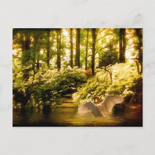 Carte postale Swan Dreamy (Devant)