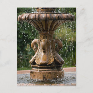 Carte postale Swan Fountain