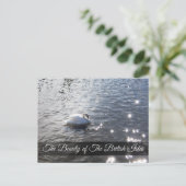 Carte postale Swan Lake District (Debout devant)