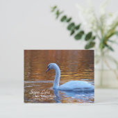 Carte postale Swan Lake Iris Gardens (Debout devant)