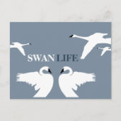 Carte Postale Swan Life (Devant)