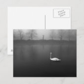 Carte Postale Swan, matin brumeux (Devant / Derrière)