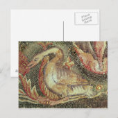 Carte Postale Swan, restauré c.1200 (Devant / Derrière)